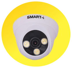 CCTV (HD/IP/PTZ)